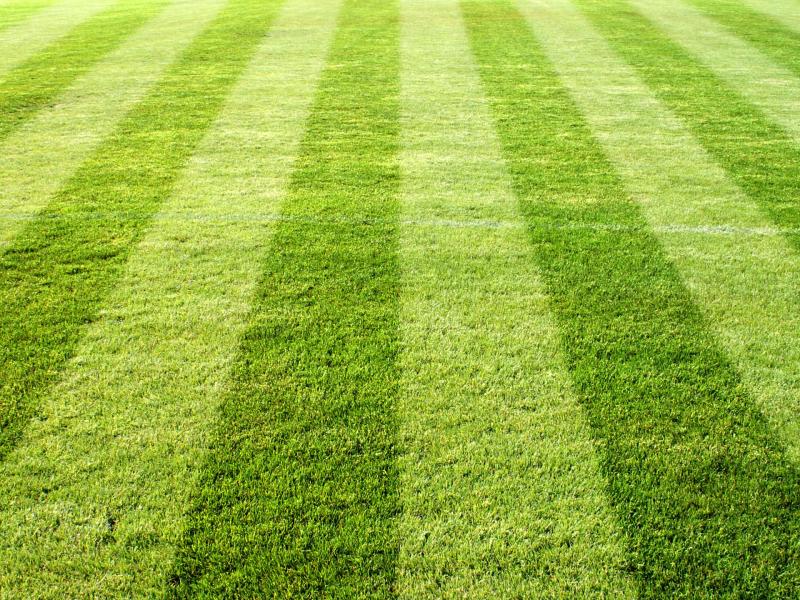 Fussball auf einem Fussballplatz