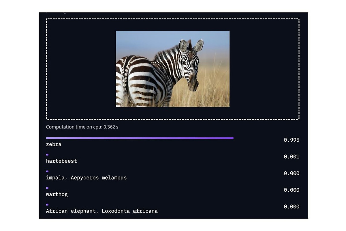 Bilderkennung eines Zebras