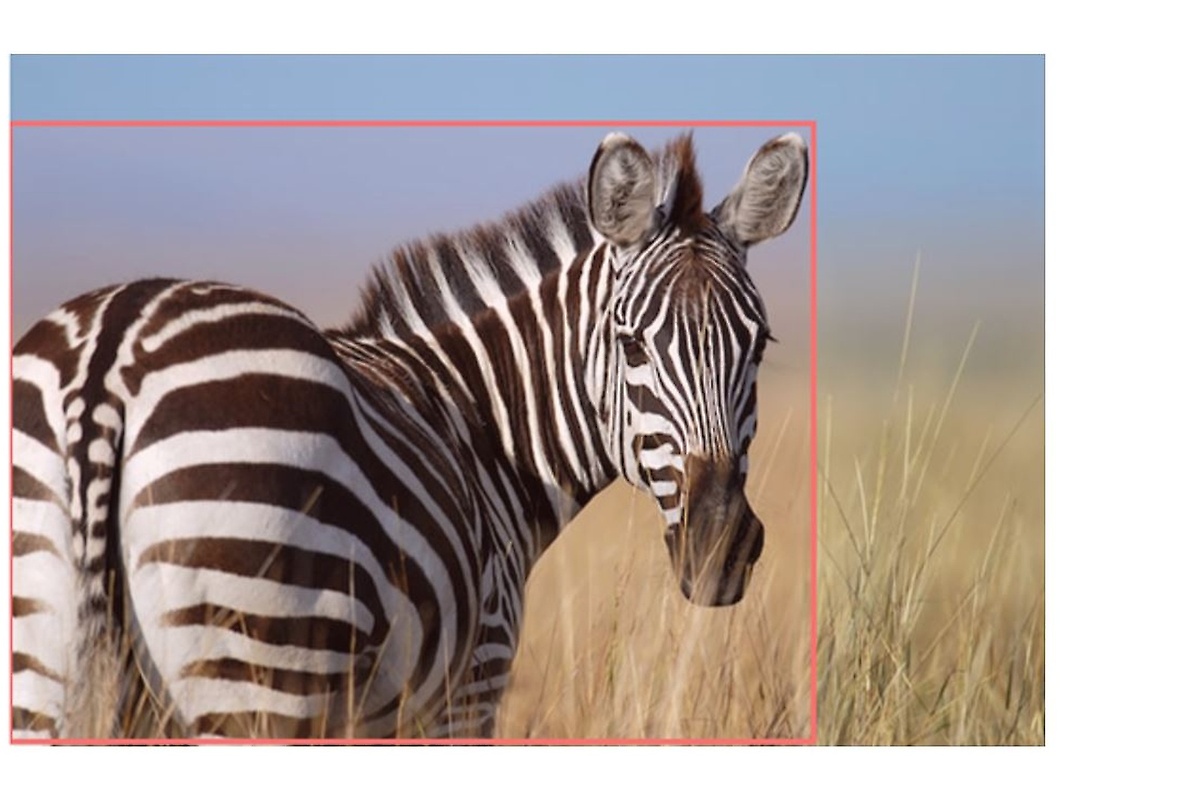 Object Detection am Beispiel
