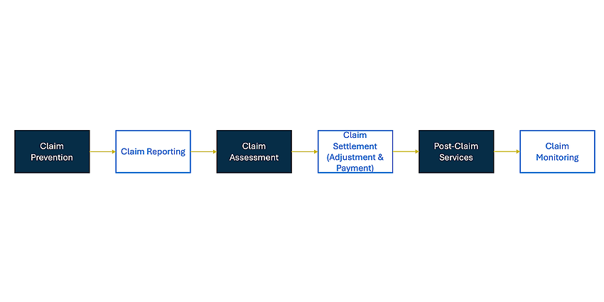 Figure 2: Sub-process steps in claims management